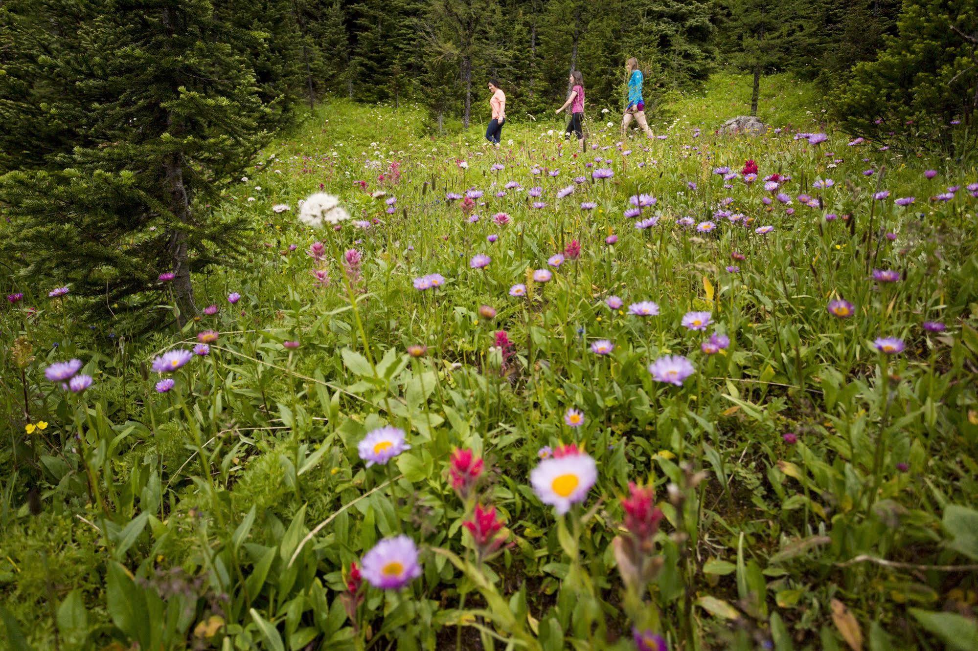 Sunshine Mountain Lodge Banff Bagian luar foto